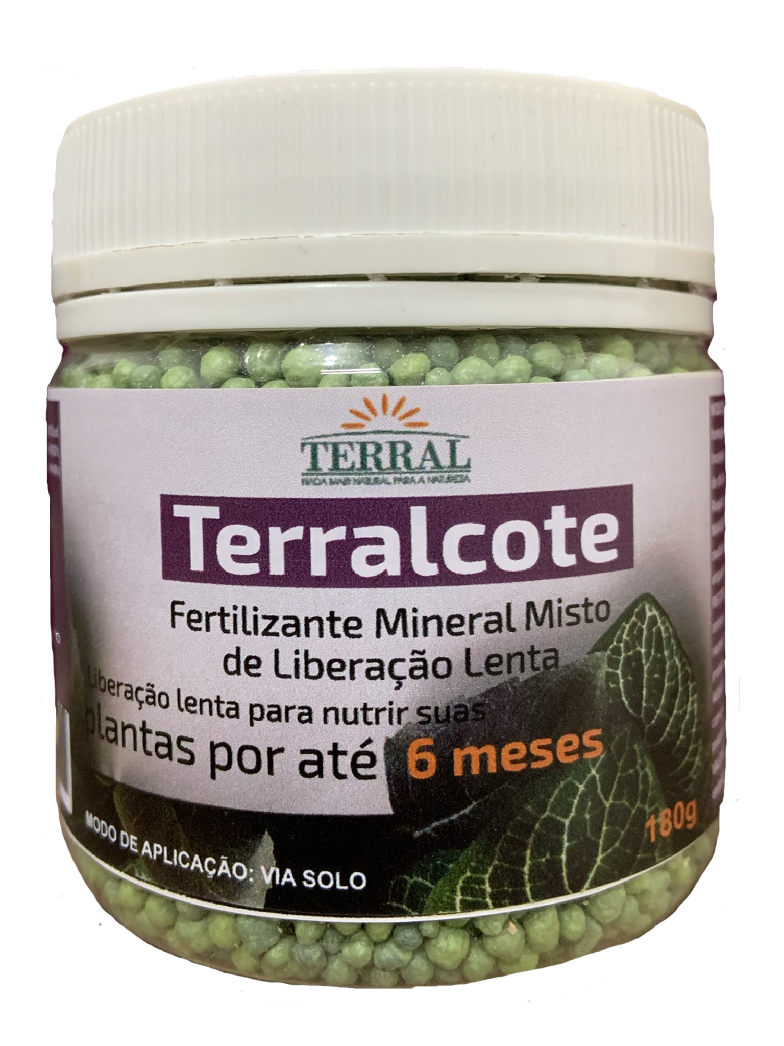 terralcote plus 6m 180g